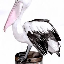 Lisa Glynn Pelican Tea Towel