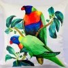 Lisa Glynn Rainbow Lorikeet Cushion Cover 45cm