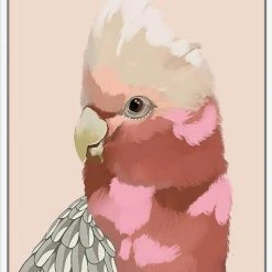 Rayell Amanda Skye Galah Australian Art